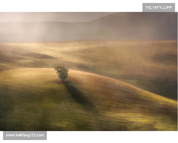 奥利塞的成长轨迹：从纯真少年到职业巅峰的非凡征程